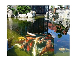 Gomma EPDM Nera OEM per Laghetti, Bassa Manutenzione, Sicura per Pesci e Piante, per Giardini Acquatici, Cascate, Fontane, Rivestimenti per Laghetti e Vasche, Resistente all'Invecchiamento - Product Image 2