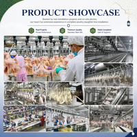 Solution d'abattage de volailles CE ISO 300-1000BPH pour abattoirs de petite et moyenne taille, machine à abattre les poulets, équipement d'abattage de volailles sans ligne d'installation