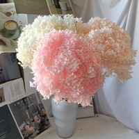 Anna Hydrangea bunga yang diawetkan, Kit kerajinan bunga DIY dekorasi kotak pengisi mawar abadi bunga kering