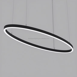 Illuminazione Decorativa di Alta Gamma per Negozi, Lampada a Sospensione LED Circolare, Profilo Ovale Lineare da 1 Pollice, Apparecchio Sospeso con Plafoniera - Product Image 1
