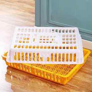 Popüler plastik tabaka ördek canlı tavuk kafesi kutusu ulaşım için çiftlik kafesi tavuk kümesi ciro sandık - Product Image 3