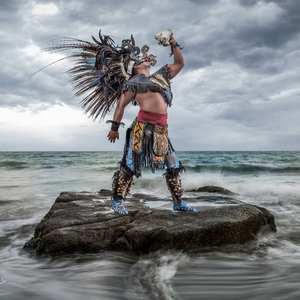 Groothandel 20-60Cm Natuurlijke Fazant Staartveren Grappige Kat Stick Diy Hoofdtooi Accessoires Geverfde Veren - Product Image 4