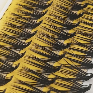 Pinky leem 20D <b>Pre</b>-<b>Made</b> <b>Fans</b> L Curl Volume <b>Pre</b> <b>Made</b> Clusters Eyelash 9- 14mm Grafting False Eyelashes Extension - Product Image 3