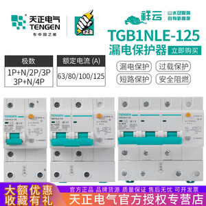 Disjoncteur d'air Tengen Tgb1nle-125 125a 230v avec protection contre les courants résiduels pour usage domestique - Product Image 5