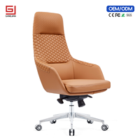 Chaise de bureau ergonomique professionnelle avec soutien lombaire et fonction pivotante