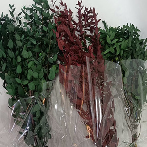 Branches d'<span class=keywords><strong>eucalyptus</strong></span> séchées naturelles et préservées, de couleurs mélangées, à feuilles fines, type Gunni, pour la décoration de la maison, des vases, des tables et des murs - Product Image 2