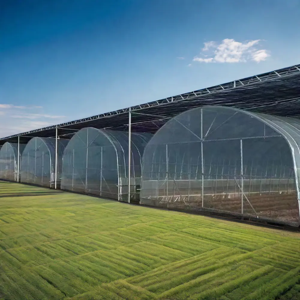 Large Size New Agricultural Greenhouse for Strawberries and Farms