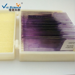 Lames de verre de laboratoire de <span class=keywords><strong>biologie</strong></span> Microscope à frottis de sang humain préparé <span class=keywords><strong>Biologie</strong></span> de l'oignon et diapositive d'enseignement des plantes animales Science médicale - Product Image 2