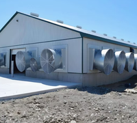 Nave Avícola de Acero a Gran Escala con Sistema de Silo de Alimentación, Moderna Planta Avícola para Pollos de Engorde y Ponedoras