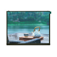 Módulo de Pantalla LCD TFT IPS XGA de 9.7'' Pulgadas, Resolución 1024x768, Ángulo de Visión Completo, Interfaz LVDS, CTP Opcional, Brillo 200-600