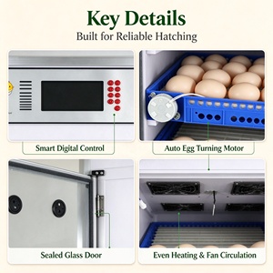 Incubateur solaire pour œufs Sensible Agriculture, incubateur automatique pour œufs, machine d'éclosion de poulets, incubateur pour poulets - Product Image 4