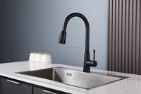 Robinet de cuisine à levier unique avec poignée spéciale, douche à tirette Torneira, robinet de cuisine moderne noir, mitigeur de robinet d'évier