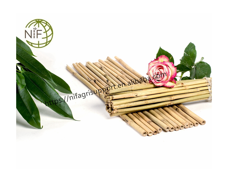 Уникальный дизайн, горячая Распродажа, Стик для поддержки орхидеи, бамбуковые трости, стойки на продажу