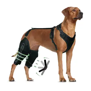 2024 QQgift来样定做宠物配件狗背支架撕裂Acl后腿脱位髌骨十字韧带关节炎疼痛