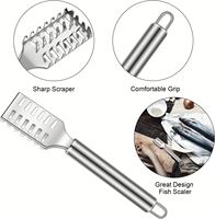 Écailleur à poisson en acier inoxydable, nettoyeur d'écailles de poisson, râpe à peau de poisson, gadgets de cuisine
