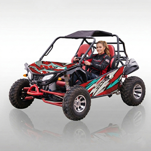 Karting tout-terrain à essence 200cc 2 places pour adultes et enfants, 12L, pour drift et karting tout-terrain - Product Image 1