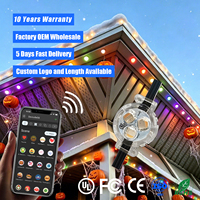 Contrôleur intelligent programmable par application 12V 24V 36V IP68 pour éclairage de Noël extérieur permanent, lumières à points pixel RGBW de 200ft 300ft