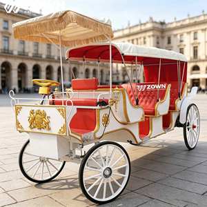 Nuevo Diseño 2026: Carroza Eléctrica sin Caballos, Carro de Paseo de Metal para Parques Temáticos, Jardines y Sesiones de Fotos de Bodas - Product Image 1