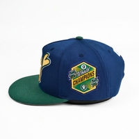 Casquette Snapback 5 Panneaux en Coton 100% avec Broderie 3D et Impression Sérigraphique, Style Hip Hop/Casual, pour le Sport et les Activités de Plein Air