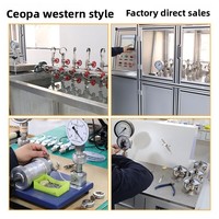 Dual-diaphragm High-static Differential Pressure Gauge YPAN Model 10MPa Valve Group Oil-filled Shock-resistant Stainless Steel