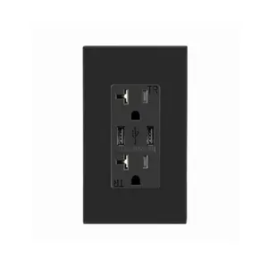 Necessary FTR20 Black Double Wall Socket Receptacle Outlet With Usb With Stable Quality