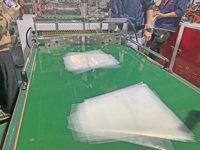 Machine automatique pour fabrication de sacs à fleurs, plastique, PE PP, scellage latéral, à grande vitesse et découpage, livraison gratuite
