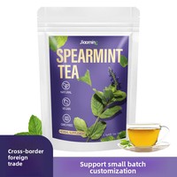 Sachets de thé à la menthe verte pour le commerce transfrontalier, sachets triangulaires, infusion à froid, sans sucre, végétalien, pour la préparation en gros