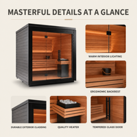 Sauna extérieur moderne PLOUTARA en forme de cube, revêtement en bois foncé, toit plat, double porte vitrée, chauffage au roche pour salle de sport, villa, complexe hôtelier, spa