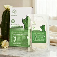 Masque Facial Réparateur et Hydratant Apaisant au Cactus Mexicain Fermenté, Antioxydant, Rafraîchissant, Éclatant, Beauté Pure