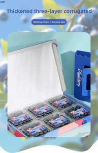 Coffret Cadeau <span class=keywords><strong>de</strong></span> Myrtilles Haut <span class=keywords><strong>de</strong></span> Gamme 1,5 Jin (750g) – Pack <span class=keywords><strong>de</strong></span> 6 Petites Boîtes Vides – Paiement à <span class=keywords><strong>la</strong></span> Livraison – Vente en Gros Disponible - Product Image 6