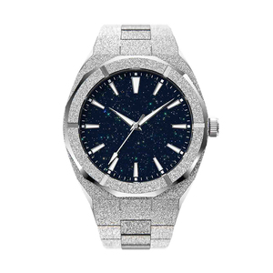 Montre pour homme de haute qualité, style Paul, luxueuse, résistante à l'eau, entièrement en acier inoxydable, montre analogique givrée pour homme - Product Image 5