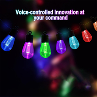 Guirlande lumineuse LED S14 multicolores pour extérieur, étanche, avec alimentation USB