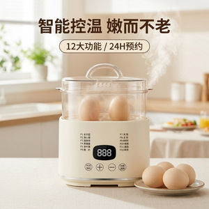 Egg Cooker Mini <b>Electric</b> 700W Smart Temperature Control <b>Steamer</b> For Breakfast With 12 Functions And 24H Timer - Product Image 1