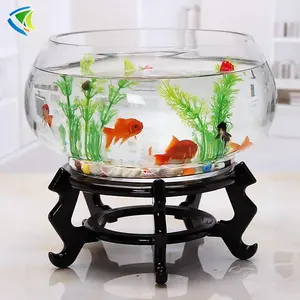 Goldfish For Sale China Trade,Buy China Direct From Goldfish For Sale  Factories at