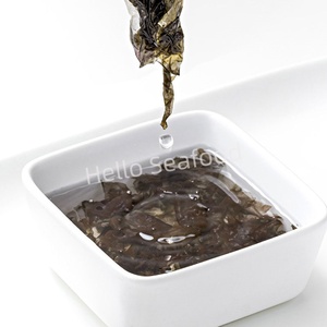 Source de protéines végétalienne américaine 4kg Nori Cakes-Riche en fer et B12 pour les usines de viande à base de plantes - Product Image 4