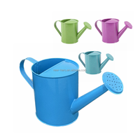 Arrosoir de jardin moderne en métal avec revêtement coloré de 0,7 L, pulvérisateur d'eau avec 3 outils de jardinage