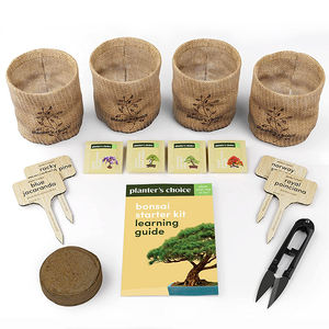 Maceta de cerámica <span class=keywords><strong>Bonsai</strong></span> Tree DIY Starter <span class=keywords><strong>Kit</strong></span> de jardín hidropónico con 13 piezas Herramientas de bambú para uso en el hogar y la guardería - Product Image 3