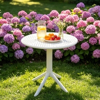Table d'extérieur avec trous de drainage pour l'évacuation des eaux de pluie, table d'appoint ronde en plastique facile à nettoyer, base stable à 4 points pour patio et pelouse