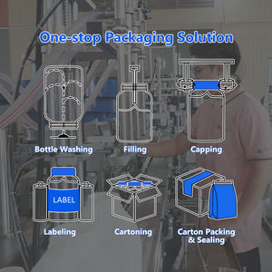 Автоматическая вертикальная фасовочно-упаковочная машина ZONESUN ZS-FS250KQ для гранулированных продуктов в саше с дозирующими мерными стаканчиками - Product Image 5