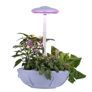 미니 수경법 스마트 실내 허브 정원 성장 시스템 LED 실내 식물 화분 및 재배자를위한 빛 성장