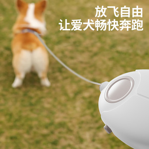 Automatic Retractable Pet Leash White PP Material Dog Walking Leash Solid Color Tow <b>Rope</b> - Product Image 4