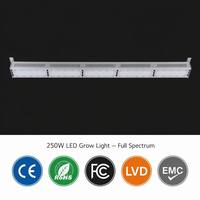 Lampes de culture LED rigides commerciales à spectre complet personnalisables de 250 W à haute efficacité LM301H pour serre de culture intérieure