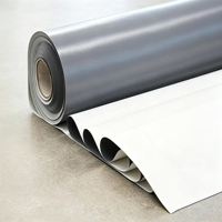 Membrane d'étanchéité de toiture TPO écologique sans chlore, haute résistance aux déchirures et aux perforations, pour la construction de sous-sols