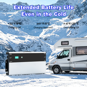 DELONGTOP OEM 6000 cycli Slimline Lithium Batterij 12V 230Ah 100Ah 150Ah Solar Batterij Opslagunits voor Camper, Caravan en Motorhome - Product Image 5