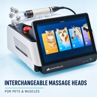 Dispositivo de Terapia Láser Veterinaria Portátil de Alta Potencia de 30 W, Láser de Diodo GaAlAs para el Alivio del Dolor