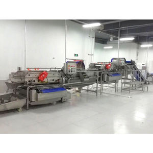 Ligne <span class=keywords><strong>de</strong></span> transformation <span class=keywords><strong>de</strong></span> la <span class=keywords><strong>tomate</strong></span>, ligne <span class=keywords><strong>de</strong></span> production <span class=keywords><strong>de</strong></span> fruits et légumes, usine à vendre - Product Image 4