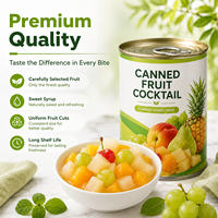Cocktail de fruits en conserve en sirop léger 850g Fruits mélangés de qualité supérieure BRC Hôtel Restaurant Restauration Vente en gros