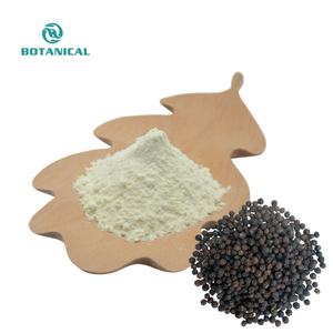 Food Grade Gedroogde Piperine Zwarte Peper <span class=keywords><strong>Extract</strong></span> Poeder 10% Piperine Kruidenkruid Tegen Een Concurrerende Prijs - Product Image 3