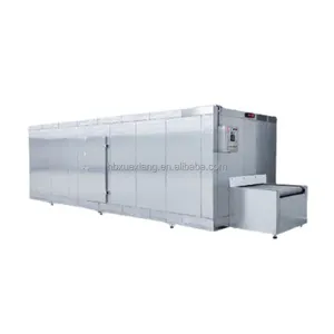 100kg/h Custom Freezing Capacity -40 Degree Big Capacity Fish Fast Freezing Machine Squid Quick Blast Freezer Tunnel