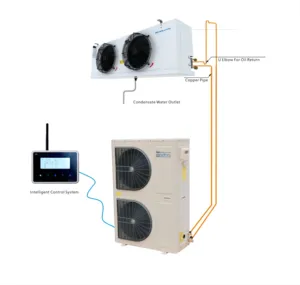 Doluyo chambre froide stockage glacière chambre froide-unité de condensation à 18 degrés et prix évaporateur chambre froide panneau et porte à vendre